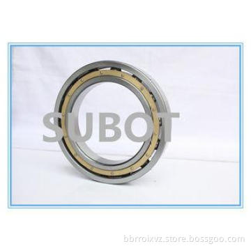 High precision Low Noise Deep Groove Ball Bearing 61918 619